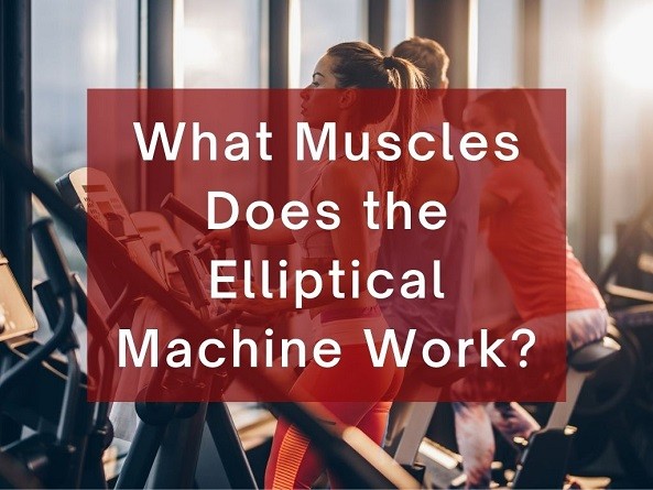What Muscles Does the Elliptical Machine Work